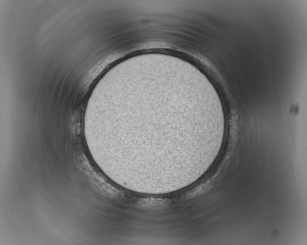 X0000110730929200907101425