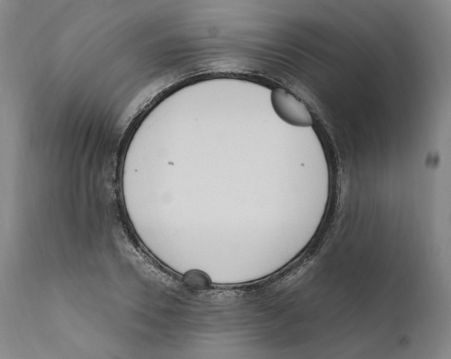 X0000110730930200907101425