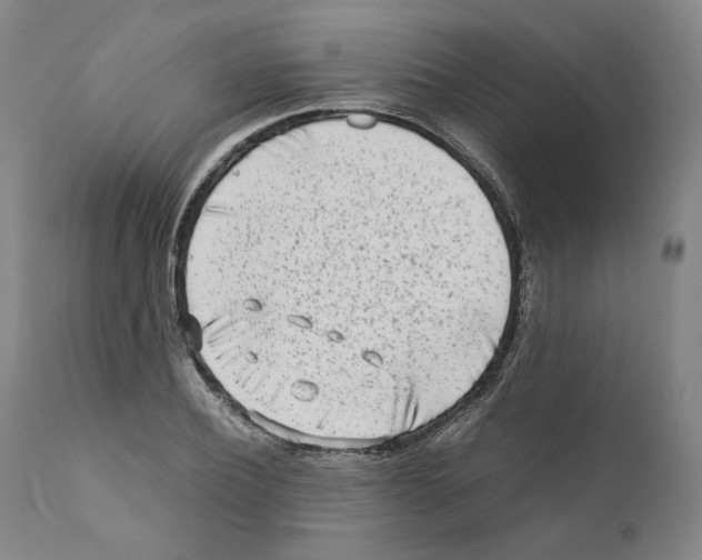 X0000110730932200907101425