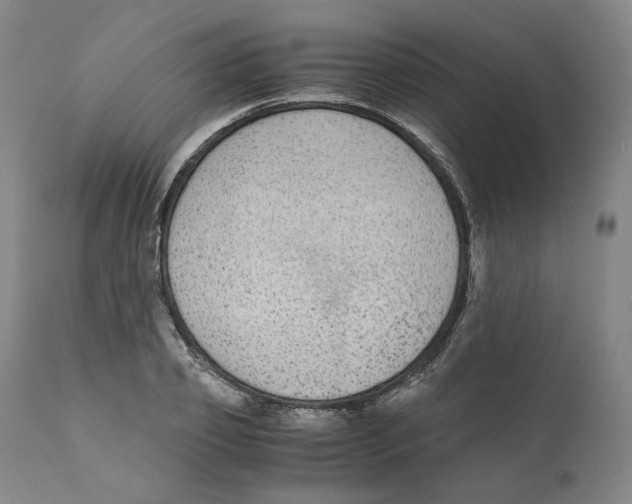 X0000110730933200907101425