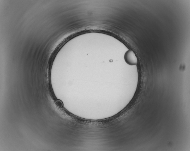 X0000110730934200907101425