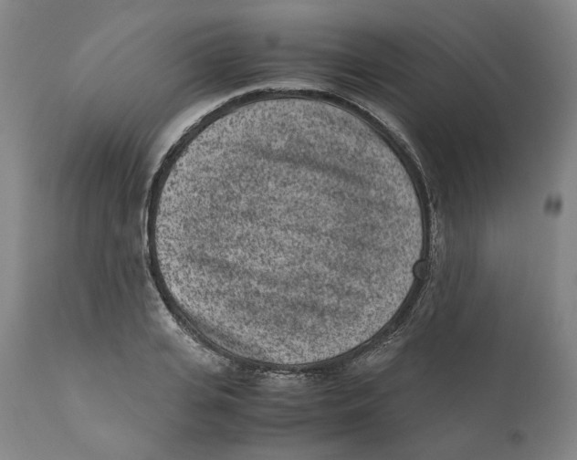 X0000110730935200907101425