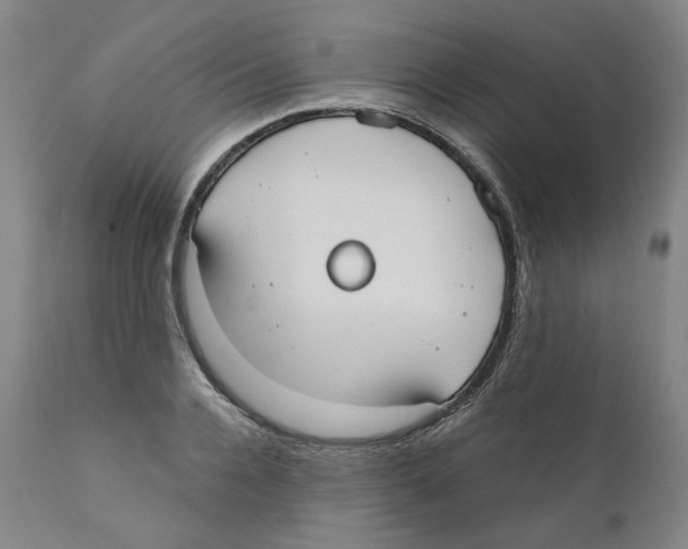 X0000110730936200907101425
