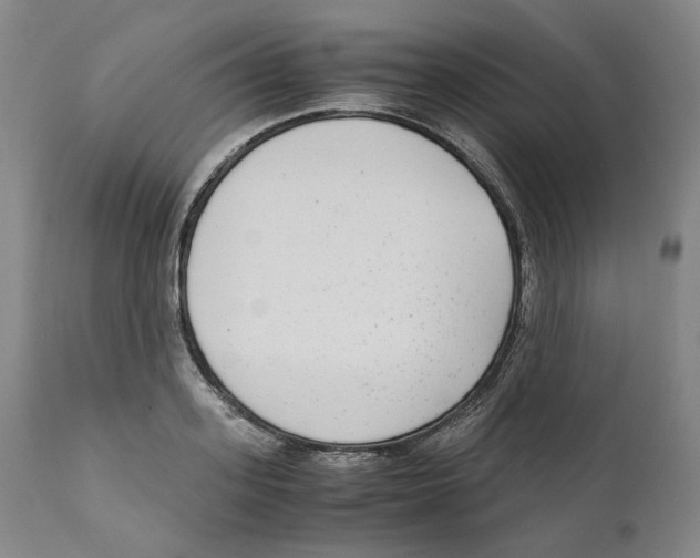 X0000110730939200907101425