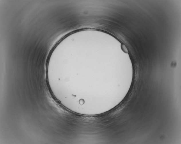 X0000110730940200907101425