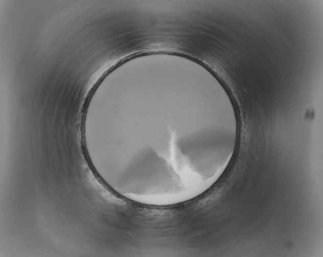 X0000110730941200907101425
