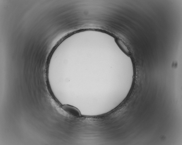 X0000110730942200907101425