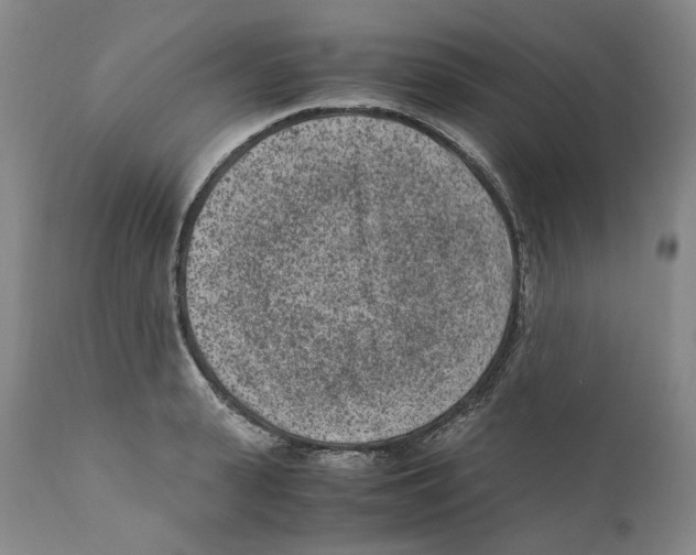 X0000110730943200907101425