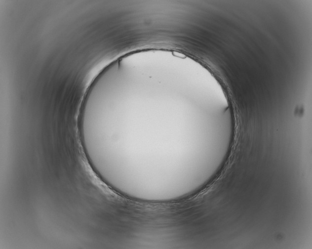 X0000110730944200907101425