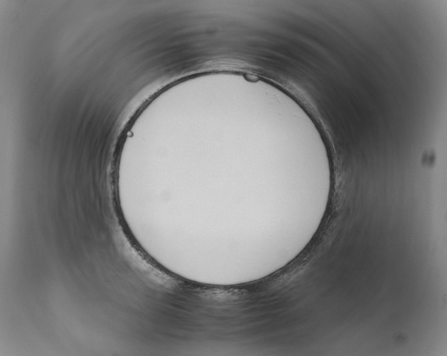 X0000110730947200907101425