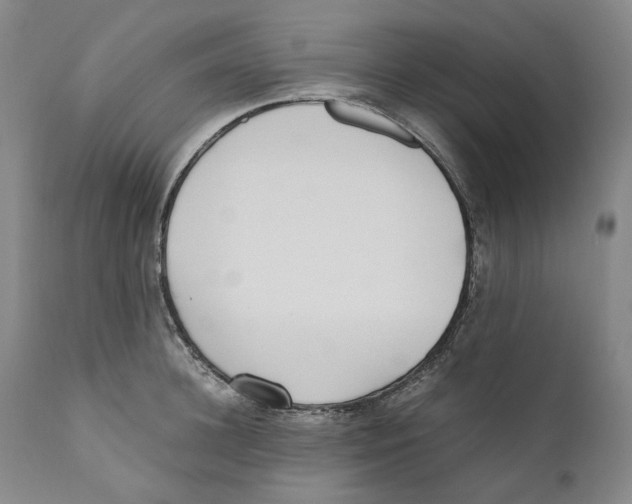 X0000110730948200907101425