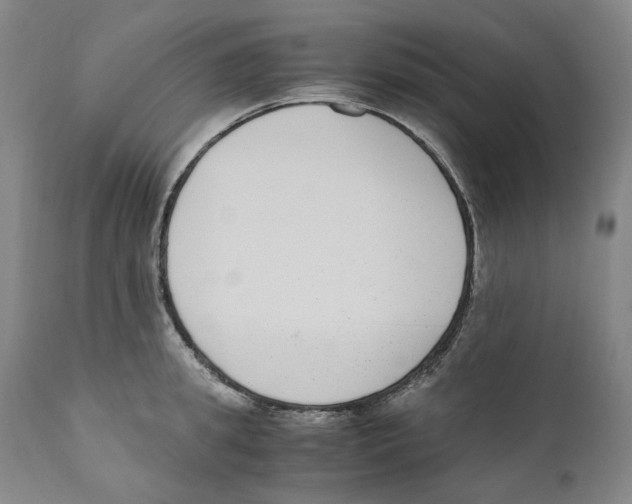 X0000110730949200907101425