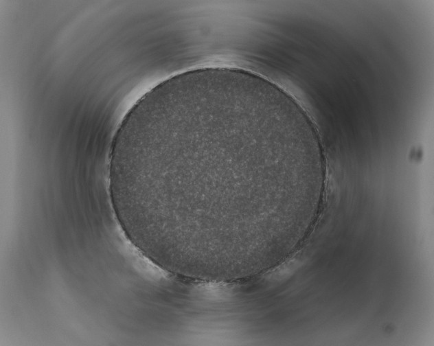 X0000110730950200907101425