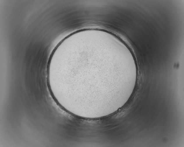 X0000110730951200907101425