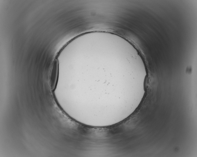 X0000110730952200907101425