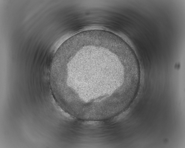 X0000110730953200907101425