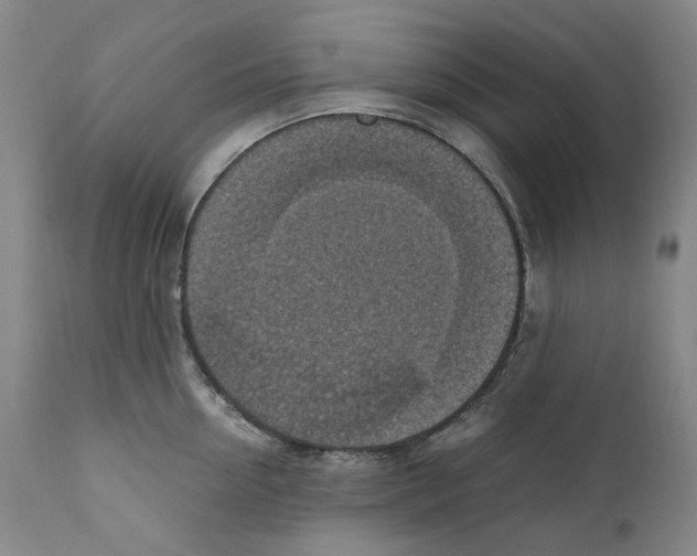 X0000110730954200907101425