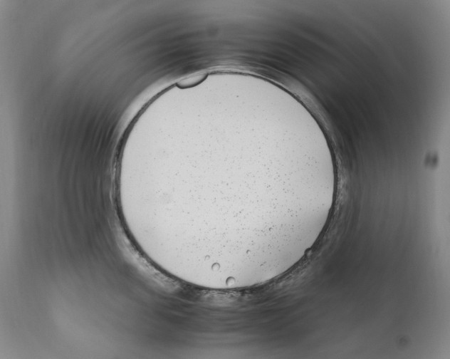 X0000110730955200907101425