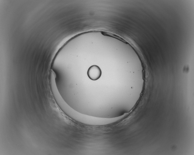 X0000110730956200907101425