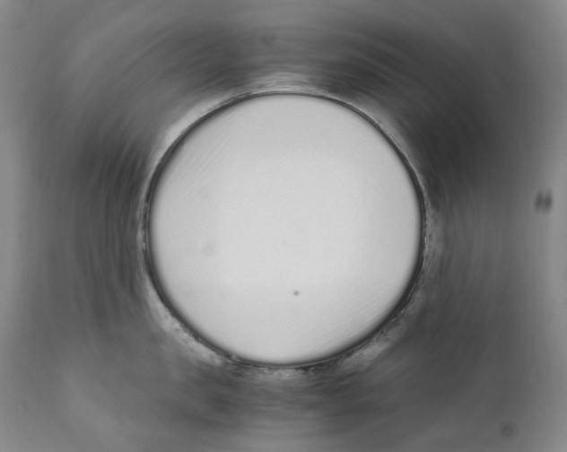 X0000110730957200907101425