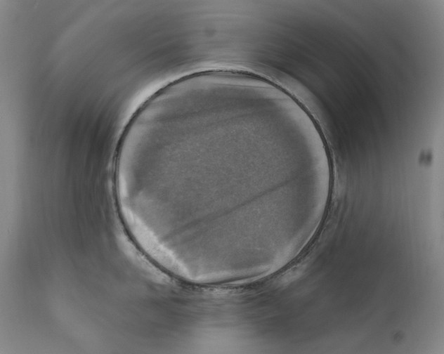 X0000110730958200907101425