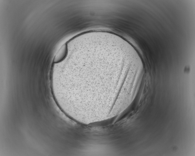 X0000110730959200907101425