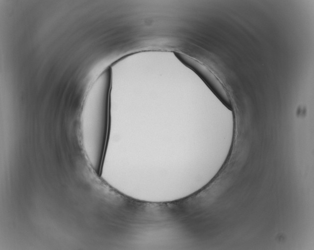 X0000110730960200907101425