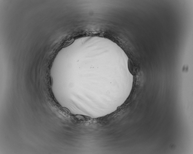 X0000110730961200907101425