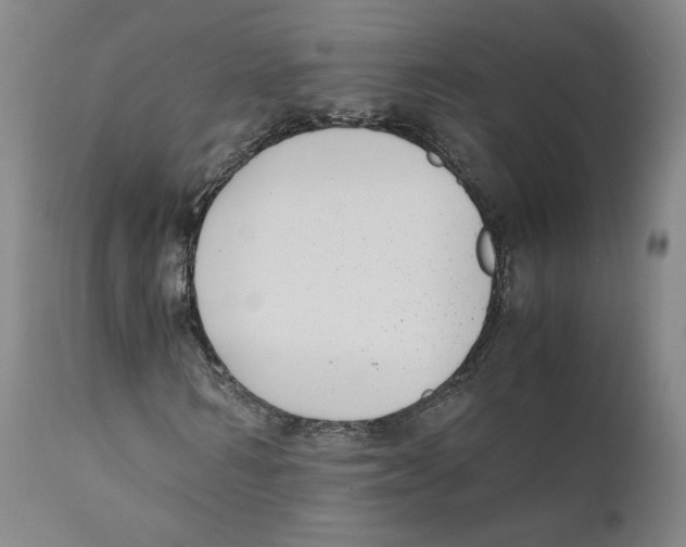 X0000110730962200907101425