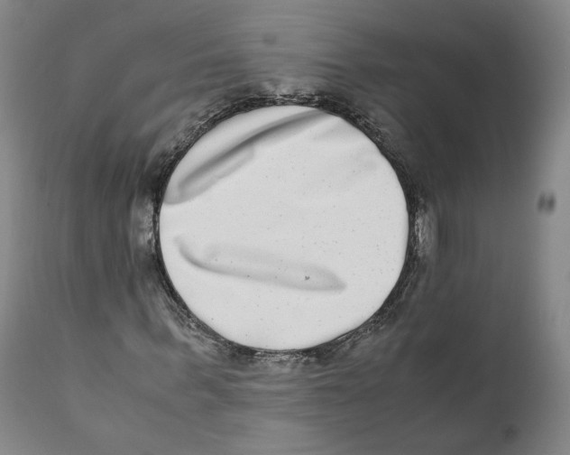 X0000110730963200907101425