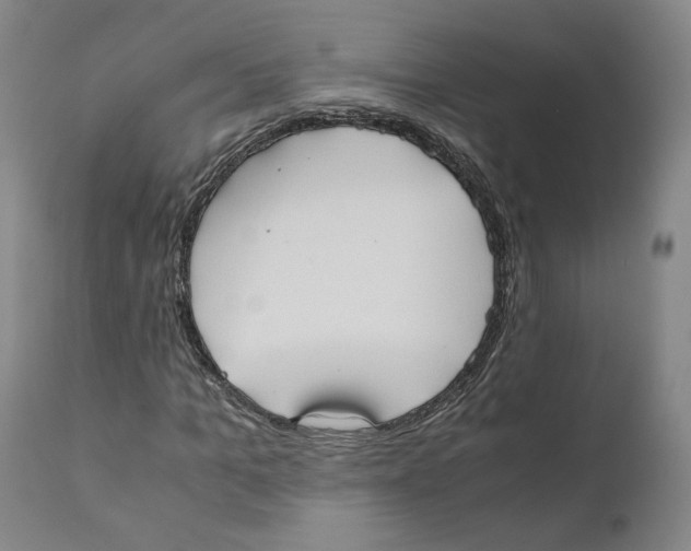 X0000110730965200907101425