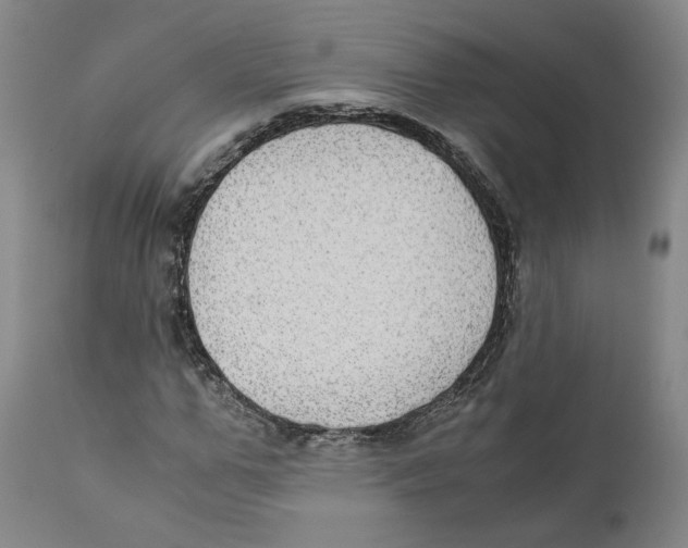 X0000110730967200907101425