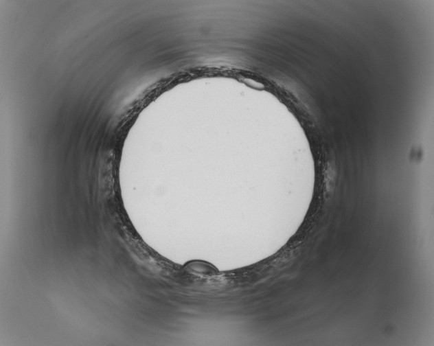 X0000110730968200907101425