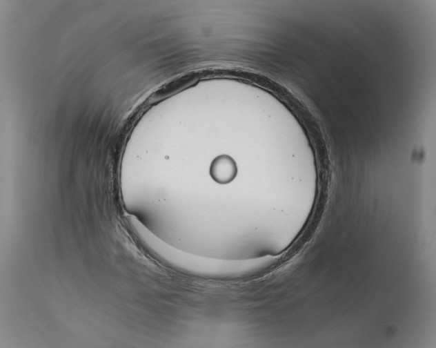 X0000110730969200907101425