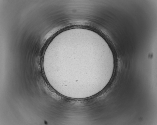 X0000110730970200907101425