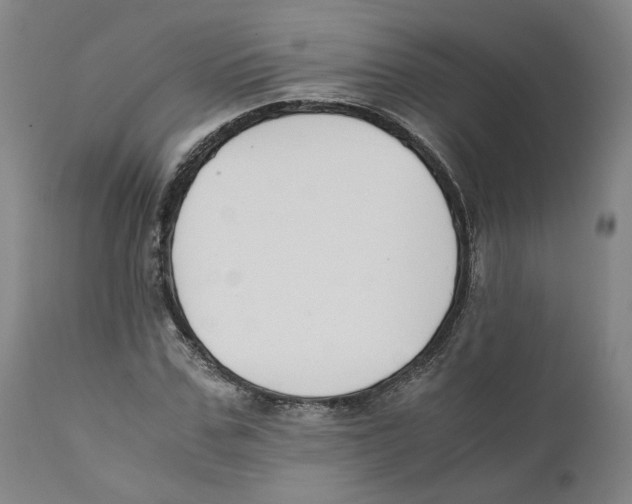 X0000110730971200907101425