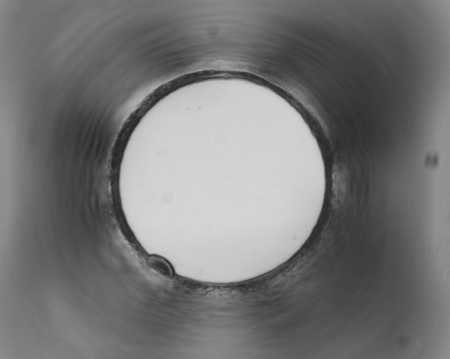 X0000110730972200907101425