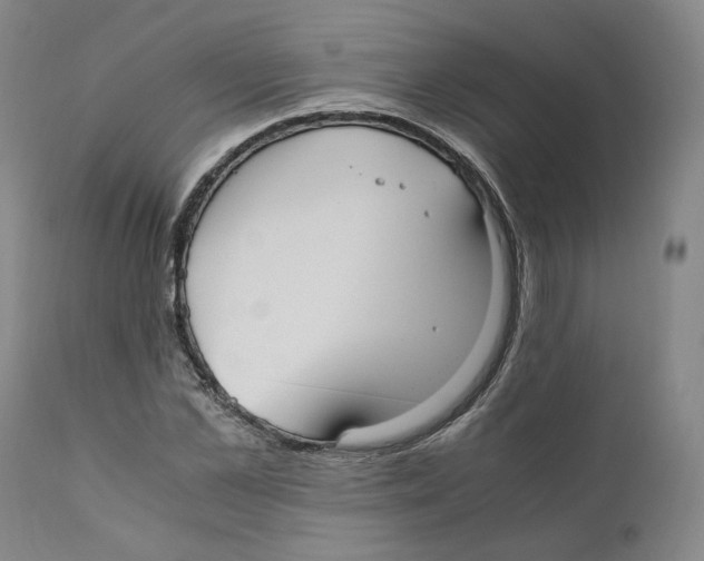 X0000110730973200907101425