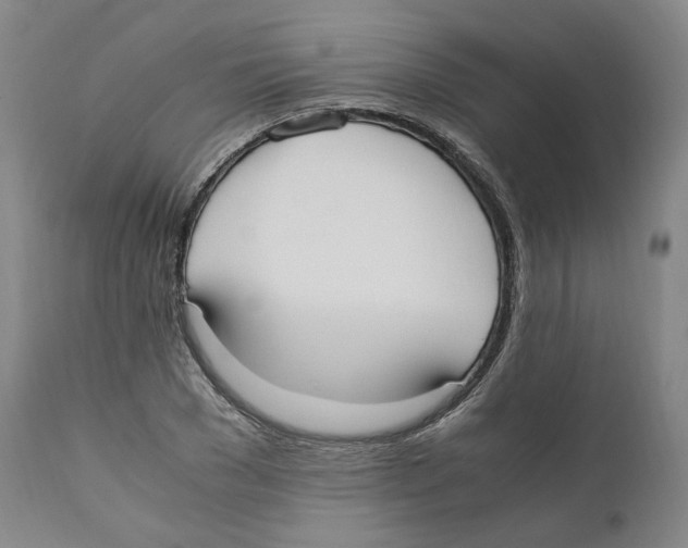X0000110730977200907101425
