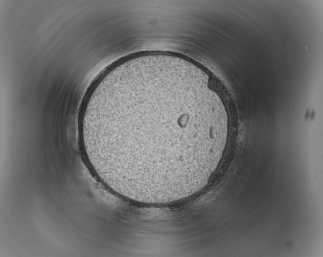 X0000110730980200907101424