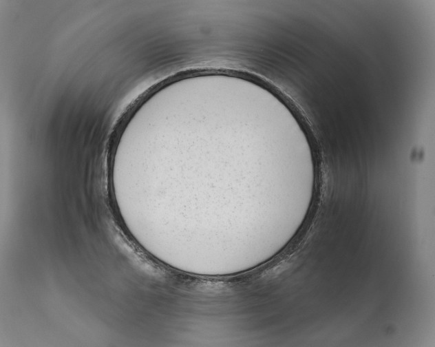 X0000110730982200907101424