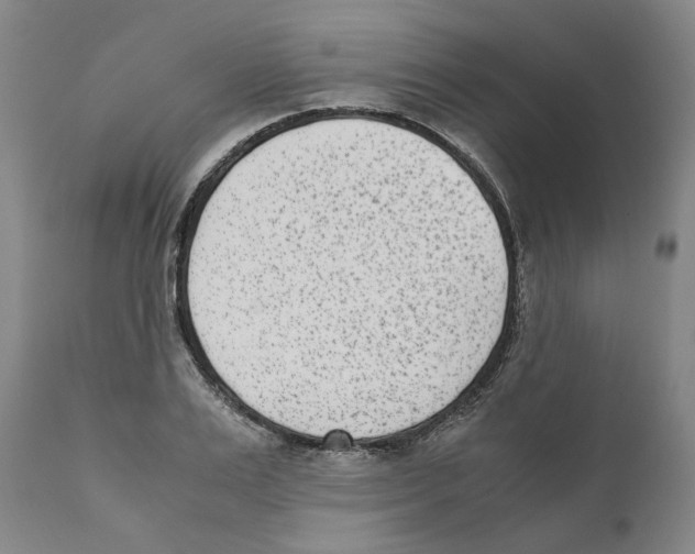 X0000110730983200907101424