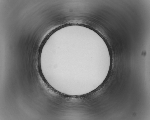 X0000110730984200907101424