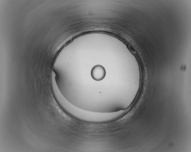 X0000110730985200907101424