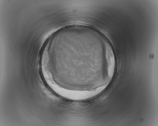 X0000110730987200907101424