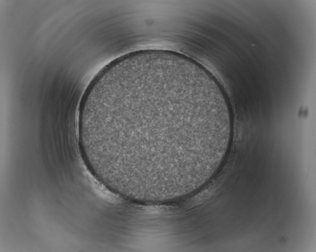 X0000110730988200907101424