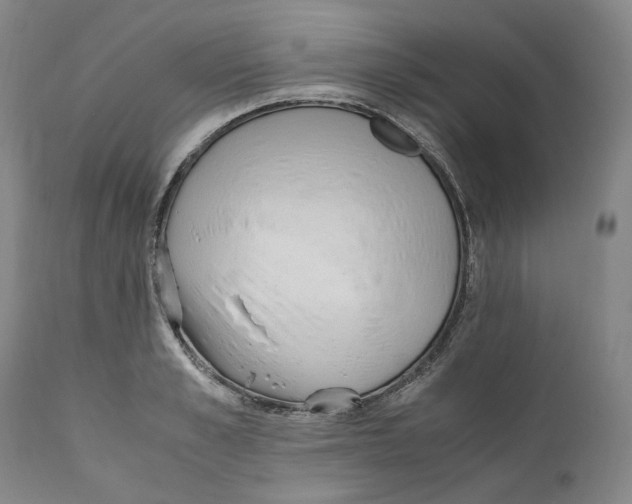 X0000110730989200907101424