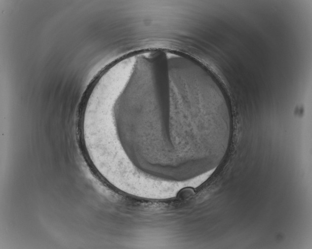 X0000110730991200907101424