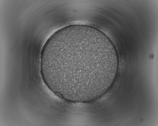 X0000110730992200907101424