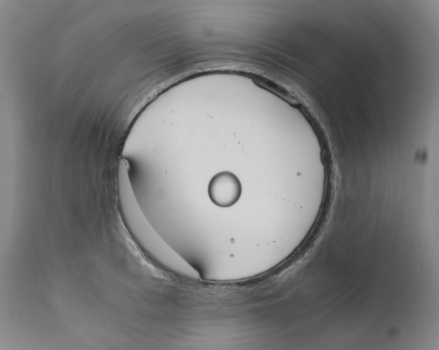 X0000110730993200907101424